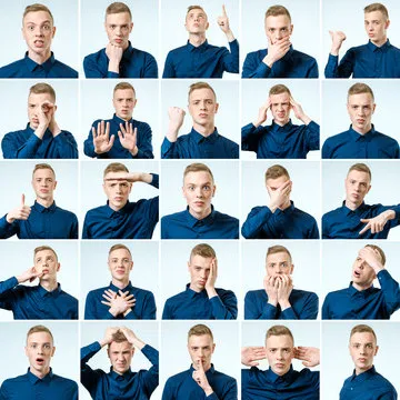 首席数据科学家